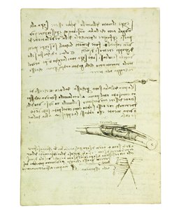 Códice sobre el vuelo de los pájaros, Folio 6 verso